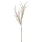 BULRUSH BRĄZOWY 35X93 cm MIN 18